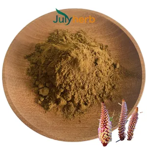 Julyherb ISO certificata fornitura di fabbrica di grado alimentare Cistanche tubulosa estratto di 5%-80% in polvere