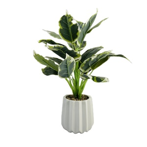 Venta caliente simple maceta <span class=keywords><strong>de</strong></span> cerámica artificial decoración <span class=keywords><strong>interior</strong></span> planta bonsái - Product Image 4