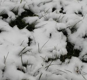 رمل سحري فوري يتحول إلى ثلج، جزيئات غبار تتحول إلى ثلج - Product Image 5