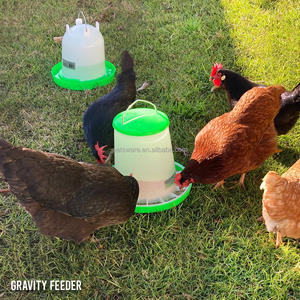 Bebederos y comederos automáticos <span class=keywords><strong>de</strong></span> plástico <span class=keywords><strong>de</strong></span> alta calidad para aves <span class=keywords><strong>de</strong></span> corral - Product Image 6