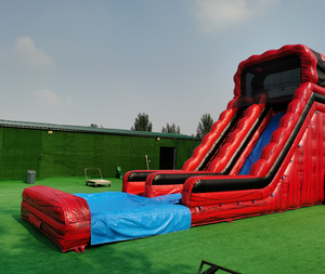 زحليقة هوائية جافة ضخمة بمسارين للتأجير - Product Image 6