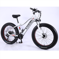 Nouveau design, livraison rapide, cadre en alliage d'aluminium, 21 vitesses, frein à disque, vélo de route électrique 48V, Fat Bike pour adulte