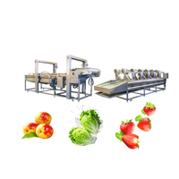 Industriële KAYA motor aangedreven was- en verwerkingslijn voor fruit (avocado, mango), groenten (aardappel) en andere producten.