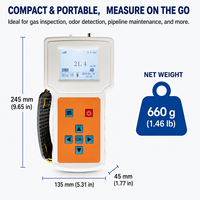 Detector de Gas THT Portátil HIREP con Bomba de Succión, Analizador de Tetrahidrotiofeno para Monitoreo de Seguridad del Gas Natural, Venta al Por Mayor