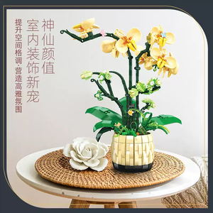 Ajb Tự Làm Phong Lan Trang Trí Lắp Ráp Mô Phỏng Hoa Vĩnh Cửu Mô Hình Xây Dựng Khối Bộ Giáo Dục Trẻ Em Đồ Chơi - Product Image 5