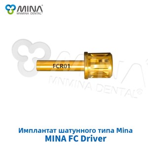 Manual dental instrumentos cirúrgicos AR Driver Failure <span class=keywords><strong>Abutment</strong></span> com aço Material - Product Image 4