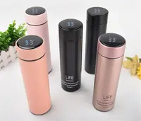 LED Digital Vacuum Flask, Smart Thermo Water Bottle, 500 ml