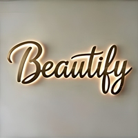 Enseigne métallique rétroéclairée sur mesure découpée au laser, finition argent brossé, lettres lumineuses en acier inoxydable, logo mural d'entreprise, lettres 3D pour intérieur