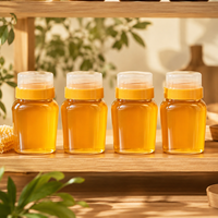 Pot en plastique conique vide en vrac pour confiture et miel, à coins arrondis, givré, avec couvercle à vis, durable, rechargeable, léger, récipient de cuisine