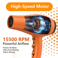 Nouveau Sèche-Cheveux Électrique Professionnel Ionique 2026 avec Diffuseur, Moteur AC 2000-2300W, Écologique, Idéal Hôtels et Voyages