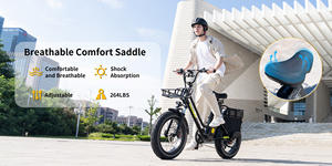 Bicicleta Eléctrica Plegable KOOLUX X8 con Marco de Hierro y Batería de Litio, Velocidad Máxima 25 km/h, Motor de 250 W en la Rueda Trasera, Neumático Grueso de 20 Pulgadas, 6 Velocidades - Product Image 4