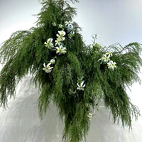 Rumput Hijau, Rumput Reed, Rumput Sedge, Calla Lily, Flame Lily, Pakis Burung Unta, Dinding Bunga Pernikahan Natal, Taman Monet, Plastik Sutra