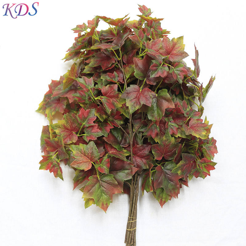 2-the  maple leaf red