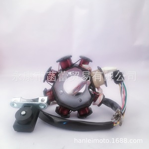 Bobine d'allumage à huit pôles pour moteur de moto tout-terrain/quad CG125-150CC - Product Image 5