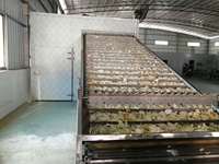 Meerlaagse gaasbanddroger continue warmtepomp transportband droogmachine voor de verwerking van fruit, groenten, voedsel, chilipepers en bloemen