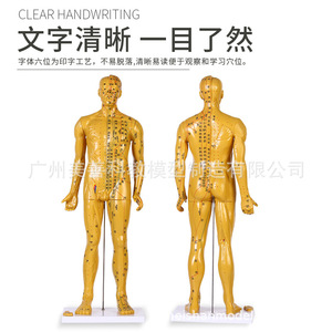 80CM - Product Image 3