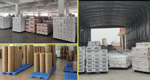 Control de Plagas: Insecticida Bifenthrin 10% EC para Mosca del Té, Mosca Blanca, Pulgón, Ácaros Rojos y Arañas, Veneno de Contacto y Estómago - Product Image 5