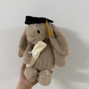 Jelly Cat Cadeaux de la saison des diplômes Souvenir populaire Lapin en peluche pour célébration Rembourré en coton PP Super doux au toucher Garçon - Product Image 2