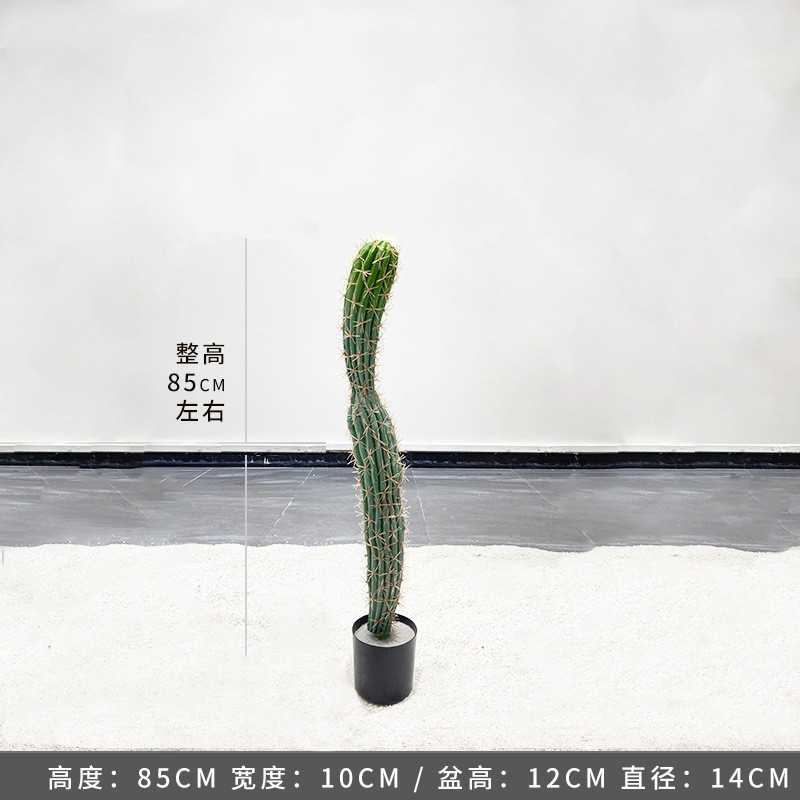 Cactus mexicain - 85cm (livré avec socle noir)
