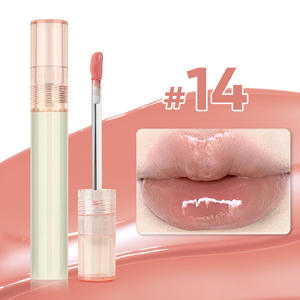 2025 nuevo hielo planchado agua luz esencia brillo de labios lujo vegano transparente hidratante brillante brillo de labios Etiqueta Privada - Product Image 1