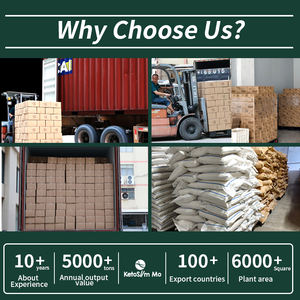 Riso Shirataki Keto-Friendly OEM ODM Ketoslimmo, Sostitutivo del Pasto per Dieta Sana, Riso Secco di Konjac con Frutta e Verdura - Product Image 5