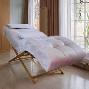 2025 New Salon Spa Care Beauty Bed with Adjustable Golden <b>Metal</b> Frame and Velvet Fabric Soft and Comfortable Eyelash Bed - Product Image 4