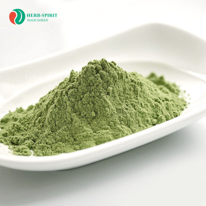 Herbspirit Duckweed Poudre 10:1 20:1 Duckweed Poudre d'extrait de protéine Duckweed Poudre de protéine - Product Image 3