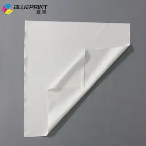 BLUEPRINT Blueprint Head Cleaner Flush/Quality Assured Cleaning Solution For Dx5 Dx7 Printhead Apply To Eco Solvent Printer