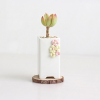 Pot en céramique blanc, plantes succulentes artificielles, mini paysage de table, pot à fleurs, pots de plantes