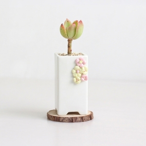 人工多肉植物 鉢植え ホワイトセラミックポット ミニ観葉植物 卓上用 植木鉢 - Product Image 3