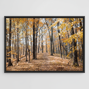 Autumn Forest Canvas Print: Serene Landscape Wall Art Decor,<b>BLACK</b> <b>FRAMED</b> CANVAS - Product Image 2