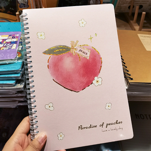 Dễ thương thiết kế máy tính xách tay cho quà tặng tự làm PVC Bìa xoắn ốc ràng buộc chủ đề may - Product Image 5