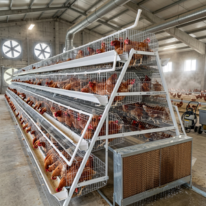 Cage à poules pondeuses de type A, 4 niveaux, 4 portes, équipement pour l'élevage en batterie de poules pondeuses en ferme - Product Image 1