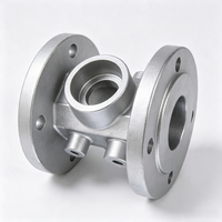 Pièces moulées sur mesure en métal pour fonderie : acier inoxydable, fonte ductile, aluminium, laiton, boîtiers de pompe et de vanne