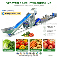 OEM/ODM verse salade fruitverwerkingslijn automatische bladgroentewas- en droogapparatuur mixer friteuse voedselveilige roestvrij staal