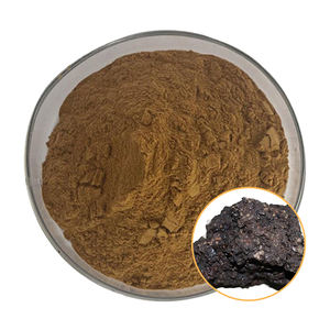 Shilajit özü tozu 10:1, 20:1, 30:1; Suda çözünür Shilajit tozu; Fulvik asit 20%, 50% - Product Image 1