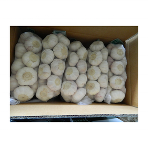 <span class=keywords><strong>Ail</strong></span> frais chinois à bas prix 20kg sac <span class=keywords><strong>en</strong></span> maille paquet <span class=keywords><strong>ail</strong></span> blanc <span class=keywords><strong>ail</strong></span> blanc normal pour l'exportation - Product Image 6