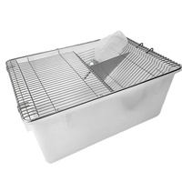 Cage de laboratoire pour cobayes en PP, bac d'élevage pour rongeurs, souris et rats, avec bouteille de laboratoire
