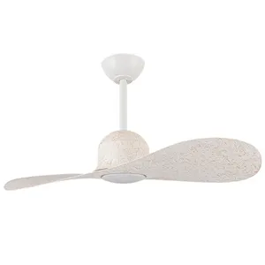 Moteur silencieux DC <span class=keywords><strong>de</strong></span> haute qualité à faible bruit moderne 42 pouces Ventilateurs décoratifs <span class=keywords><strong>De</strong></span> <span class=keywords><strong>Plafond</strong></span> <span class=keywords><strong>ventilateur</strong></span> <span class=keywords><strong>de</strong></span> <span class=keywords><strong>plafond</strong></span> à 2 pales <span class=keywords><strong>avec</strong></span> lumière LED - Product Image 1