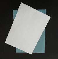 Kertas Tato Temporer, A4(297X210Mm) Inkjet Kosong Dapat Dicetak
