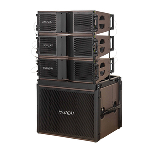 Altoparlanti Professionali Line Array Dual 8 Pollici ODM OEM, per Palco e Chiesa, Attivi e Passivi - Product Image 4