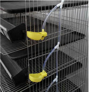 Automatische Kweekkwartelkooi Voor Eierproductie Kwartelkooien Voor Groothandel - Product Image 3