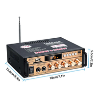 BT-198E BT-198B 300W + 300W BT 5.0 12V araba HiFi Stereo ses amplifikatörü ev için Hi Fi 220V