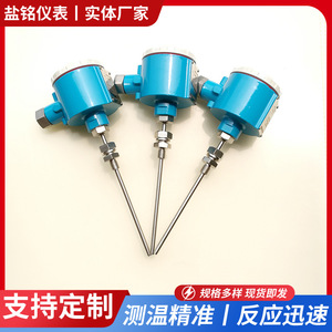 WZPK-240 Explosion Proof Armored Platinum RTD Temperature Sensor BT4 CT6 Screw Terminal - Product Image 5