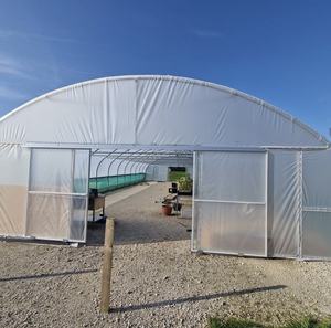 <span class=keywords><strong>Invernaderos</strong></span> Agrícolas Grandes Prefabricados para Uso Doméstico, Solárium de PE, Puerta Opaca, Toldo con Manivela, Cama Elevada, <span class=keywords><strong>Segunda</strong></span> <span class=keywords><strong>Mano</strong></span> - Product Image 5