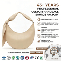 Sacs à main de luxe personnalisables, modernes et simples, en forme d'oreiller, pour femmes, avec fermeture éclair, imperméables, imprimé POMPOM, pour soirée