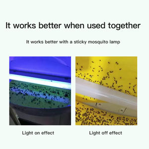 Usine directe En stock Piège à mouches solide jaune Piège à panneau de bâton de lampe pour fourmis Termites Mites Catégorie de lutte antiparasitaire - Product Image 3