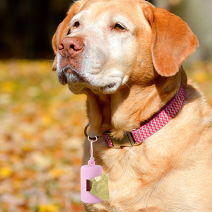 2026 OEM & ODM Distributeur de sacs à déjections pour animaux de compagnie (chats et chiens) d'extérieur, réutilisable, avec procédé de peinture par pulvérisation, et 1 rouleau de 15 sacs pour déjections canines - Product Image 2
