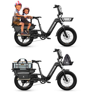 Bici <span class=keywords><strong>Cargo</strong></span> Elettrica Utilitaria con Gomme Larghe e Portapacchi Posteriore, Ebike a Lunga Autonomia per Consegne e Uso Familiare - Product Image 3
