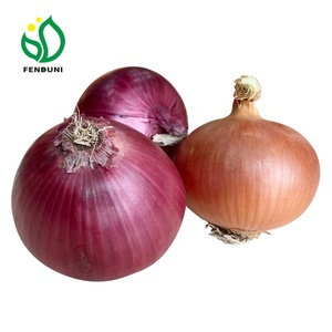 Holland Nieuwe Crop Rode Uien Goedkope Prijs Groothandel Maten 5-10Cm, 20Kg/25Kg Zakken Fob/Cfr/Cif - Product Image 2